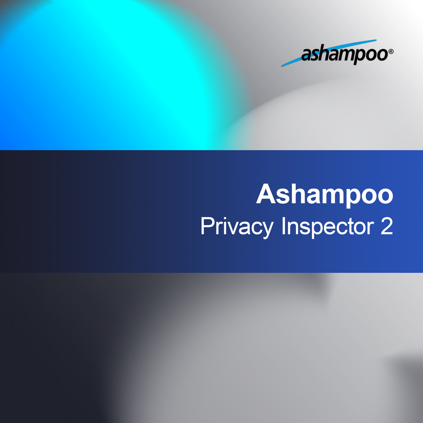 Ashampoo Inspektor soukromí 2