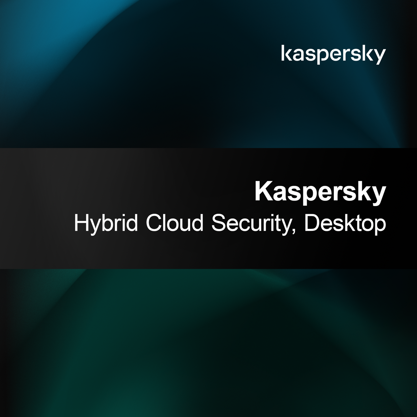 Kaspersky Hibrit Bulut Güvenliği, Masaüstü